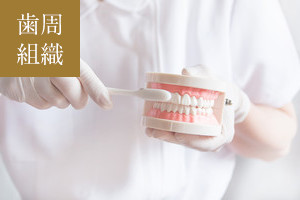 歯茎を清潔に保つ