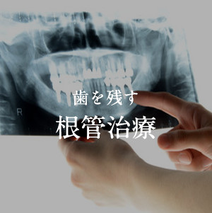 歯根の温存治療